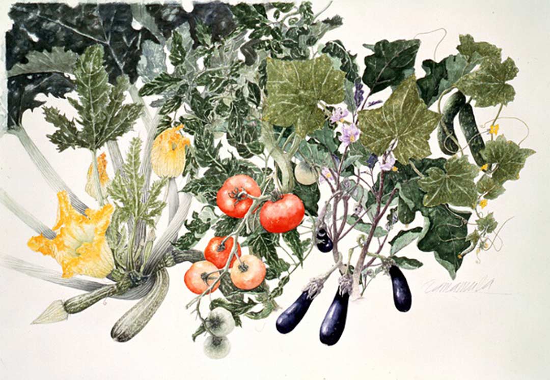 生活| 新年放纵,5本吃货之书让你打开目录就饿了